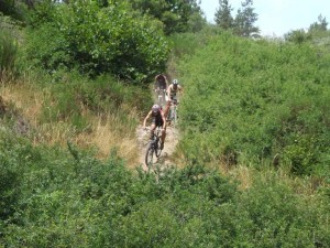 DSCF0539